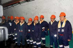 “110工法”采煤工藝已在全國500多家煤礦推廣應